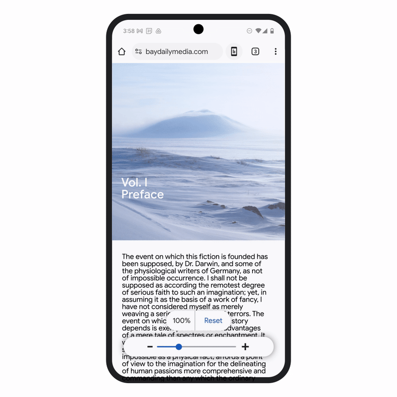 Page Zoom works with Chrome on Android, letting you customise how you see pages